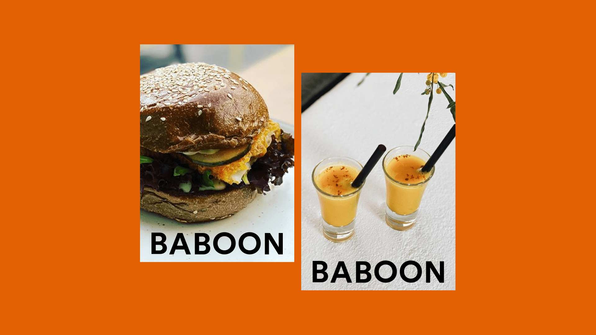 BABOON Copy