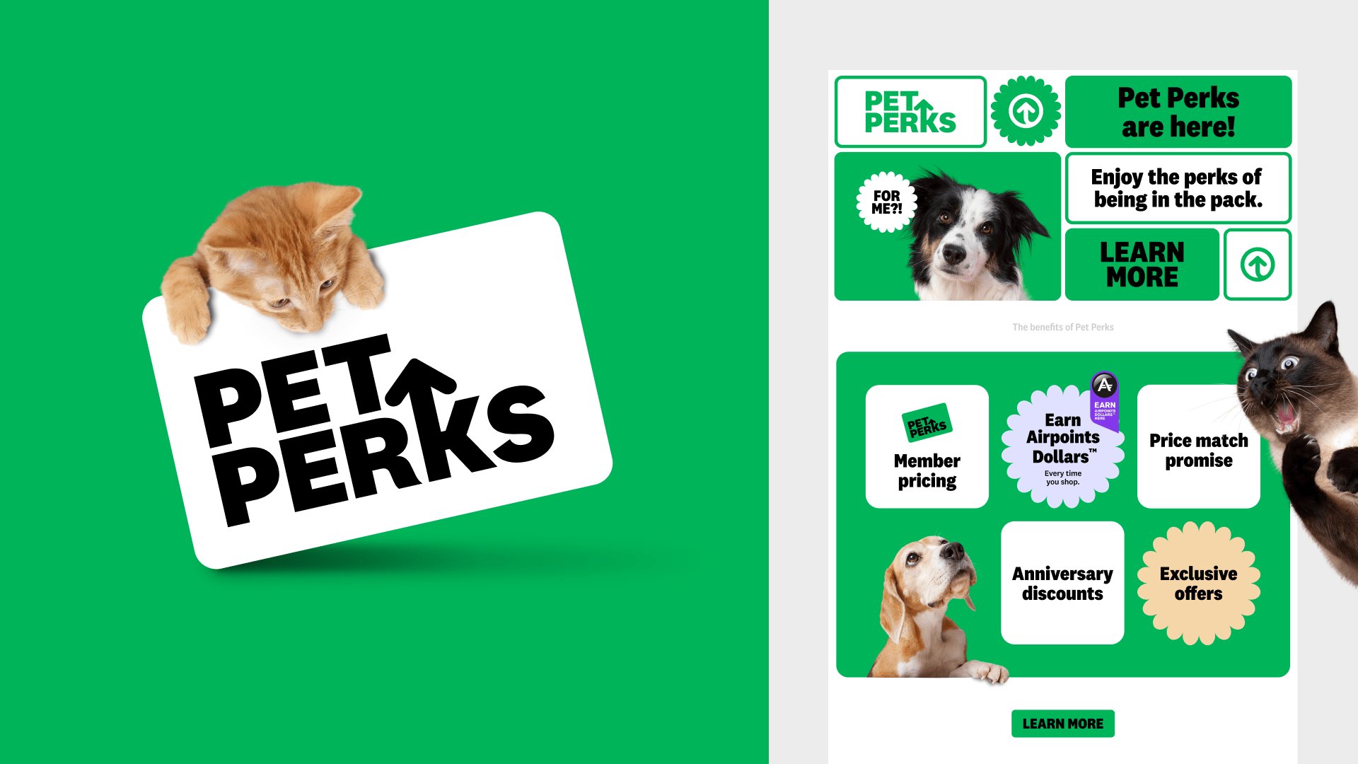 Petdirect_Petperks_Use